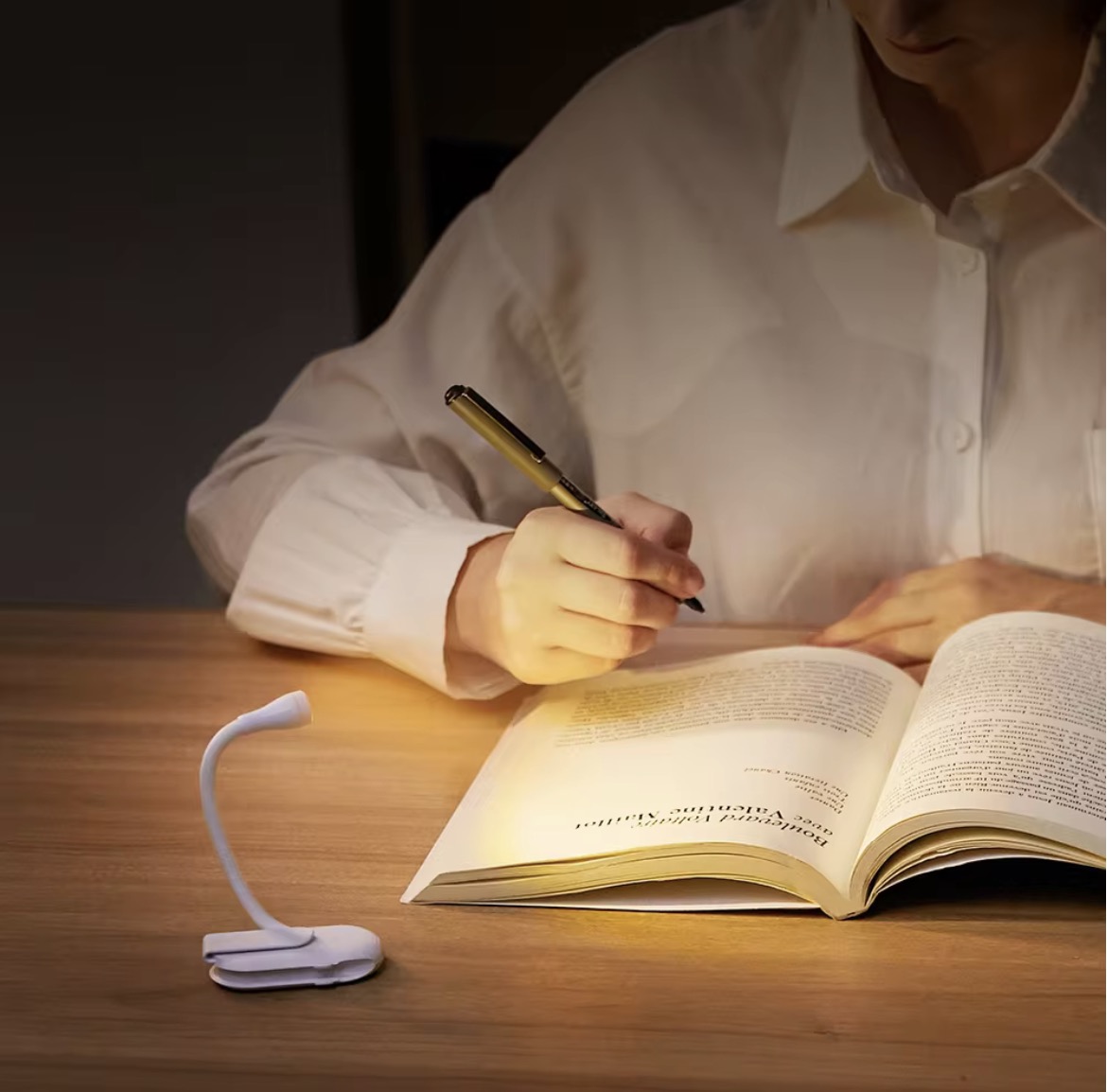 Premium Mini Clip Light